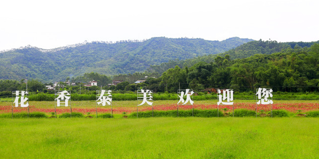 惠州市博罗县泰美镇三径村