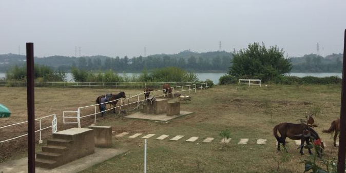 山水湾马术俱乐部