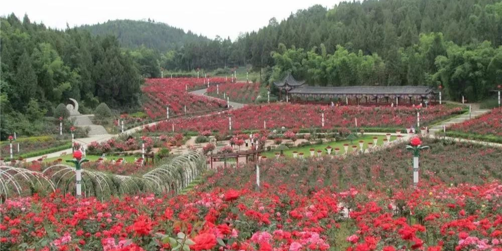 贵州农博园玫瑰园_遵义_百度地图