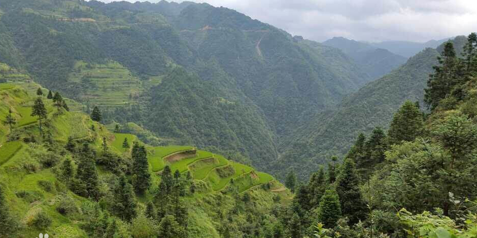 山岗村地名网_贵州省黔东南苗族侗族自治州从江县谷坪乡山岗村资料