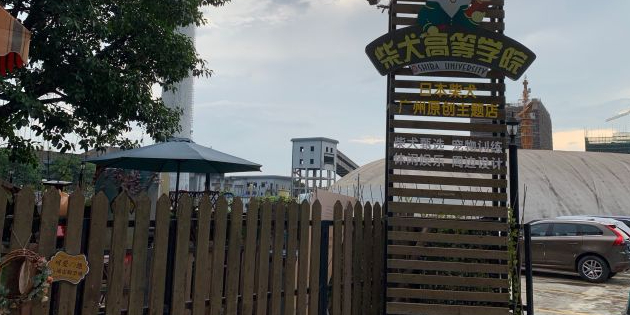 柴犬高等学院