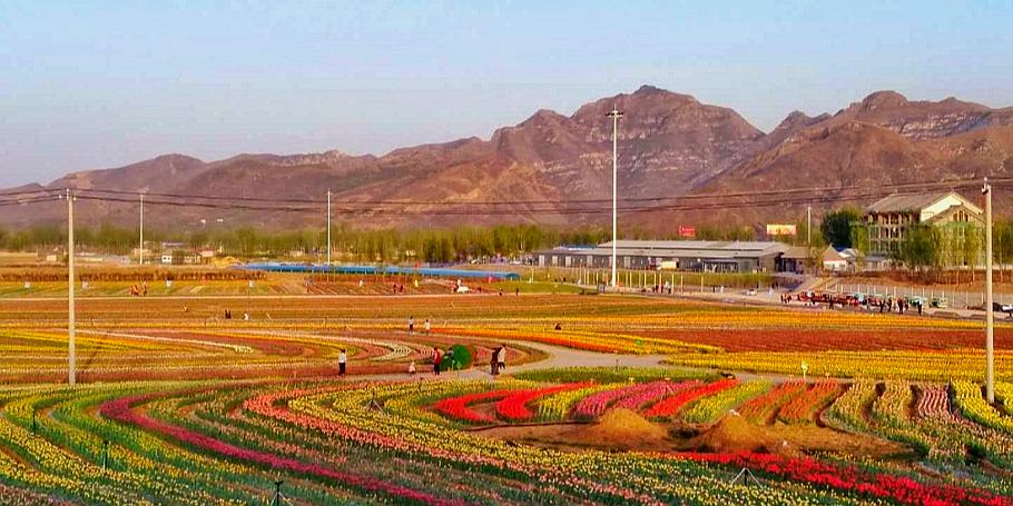 港里村