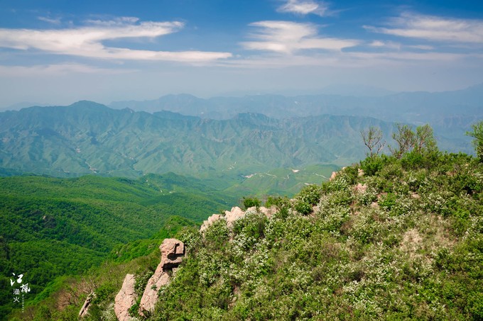 百花山