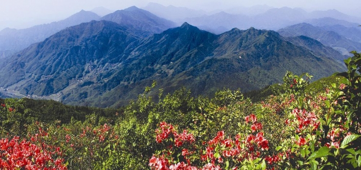 铜鼓县 标签: 风景区 旅游景点  仙菇坛景区共多少人浏览:3514804