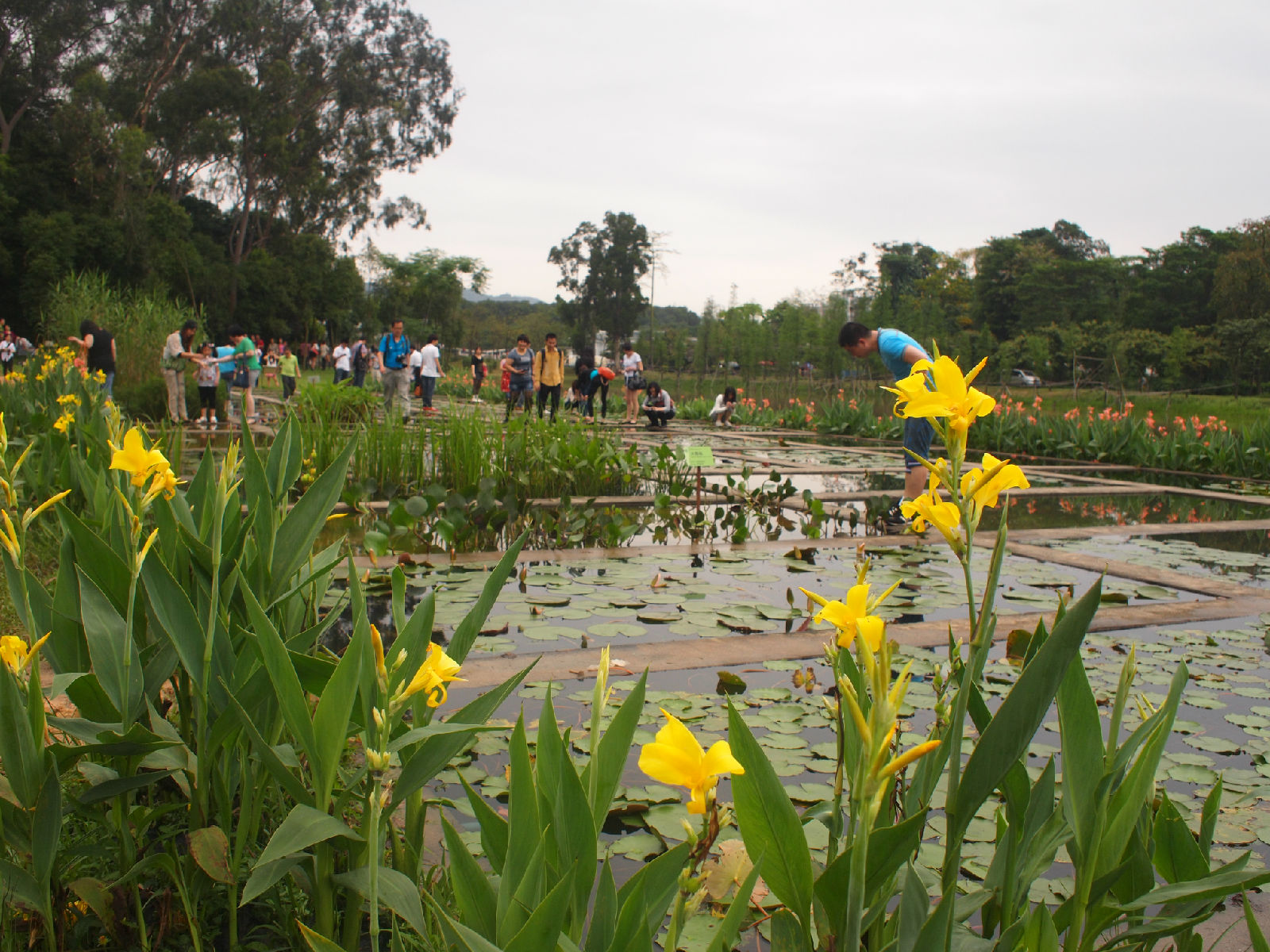 天河区 标签: 植物园 旅游景点 4a风景区 风景区  中国科学院华南植物