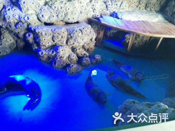 运城海洋馆