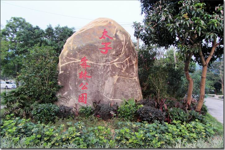增城区  标签: 森林公园 旅游景点 公园  太子坑森林公共多少人浏览