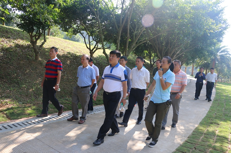 地址(位置,怎么去,怎么走):  茂名市化州市石湾镇广东农垦热带作物