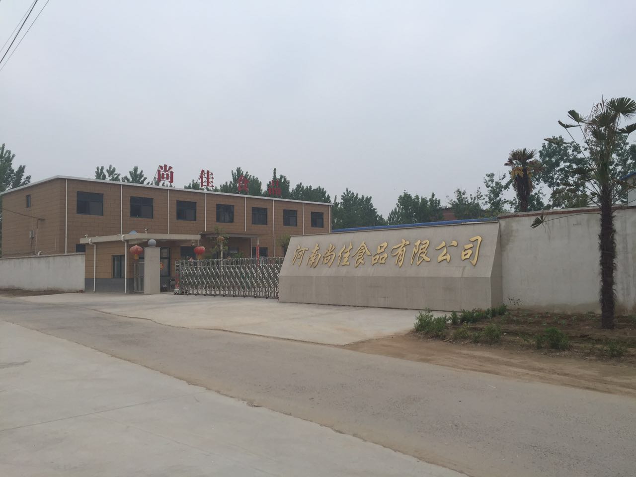 河南省周口市黄泛区农场尹坡小学西北400米