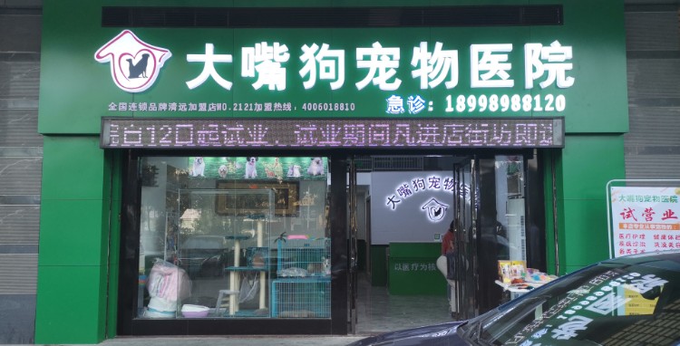 大嘴狗宠物医院清远店