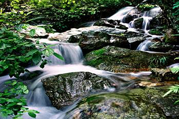 大冶市 标签: 风景区 旅游景点  大泉沟风景区共多少人浏览:3753025