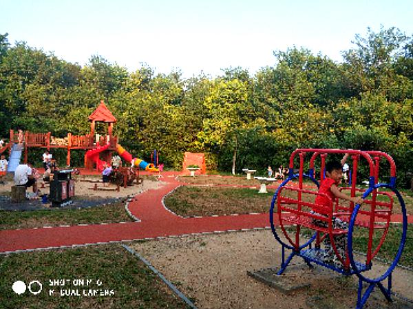 塘沽森林公园儿童乐园