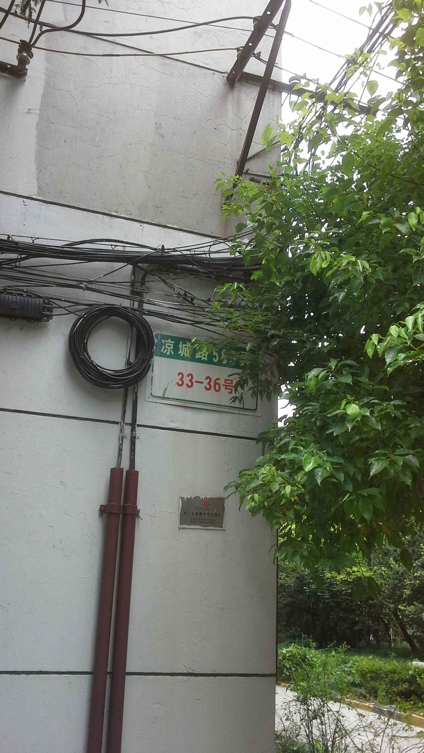 凉城路 全网资源