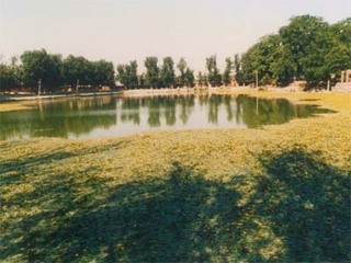 汉太液池遗址