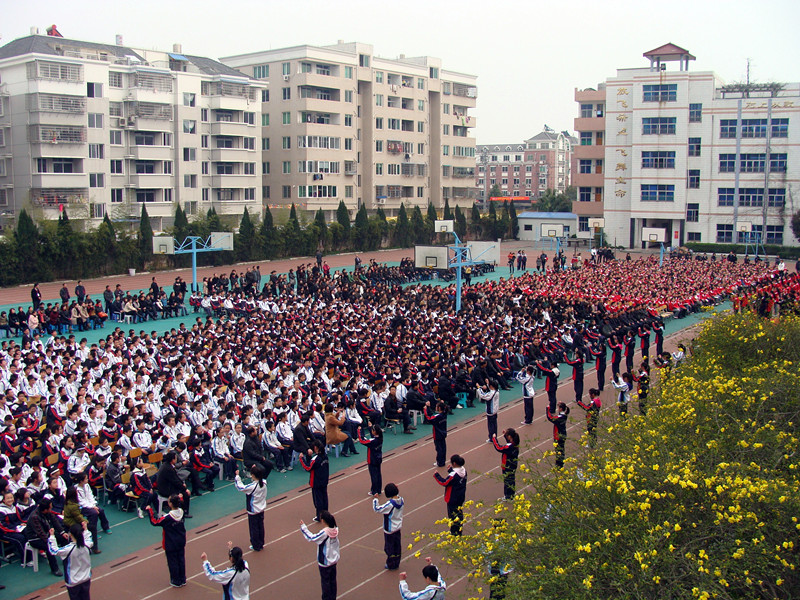 平阳新纪元学校