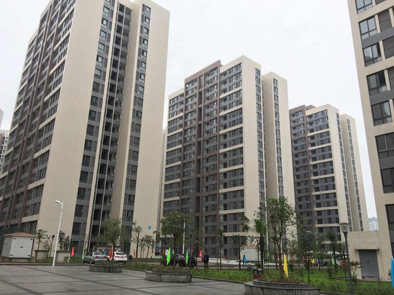 长龙家园                     地址:高宁路(长龙苑小区斜对面)