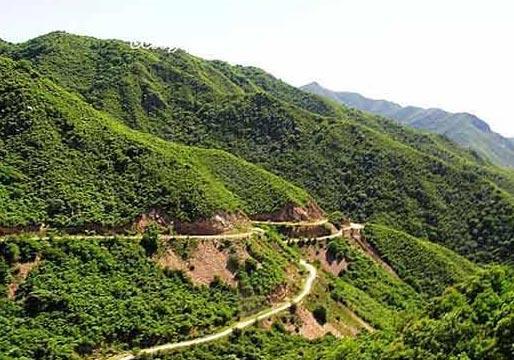 庙子沟遗址