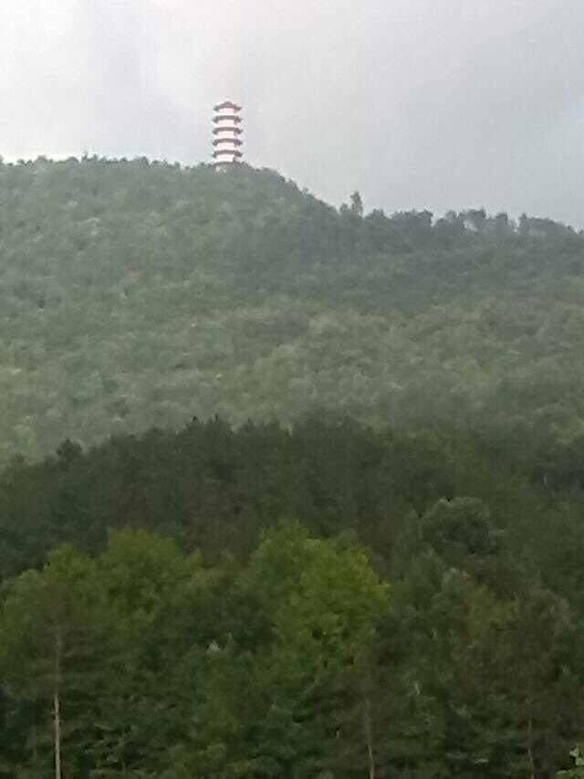 地址(位置,怎么去,怎么走):  湖北省黄冈市罗田县塔山森林公园(309县