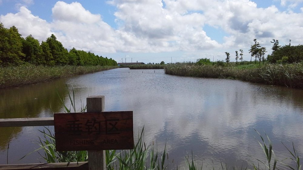 东滩湿地公园-垂钓区