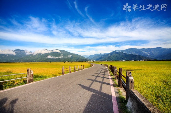 天主教西安教区圣罗禄堂