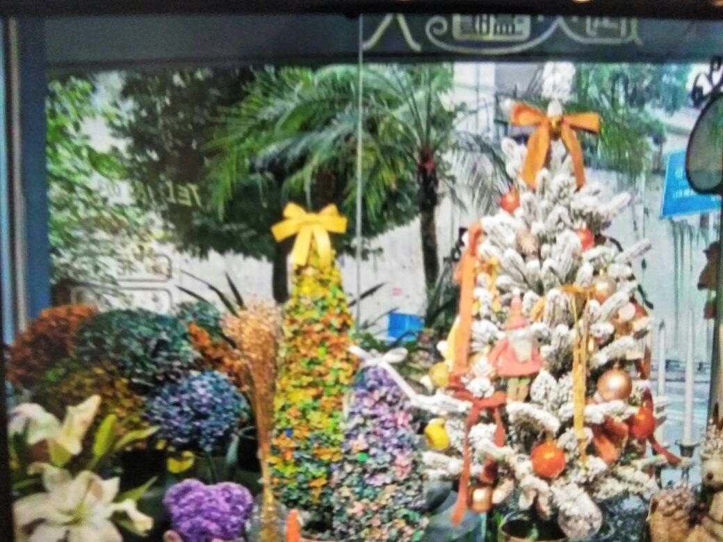 花伺