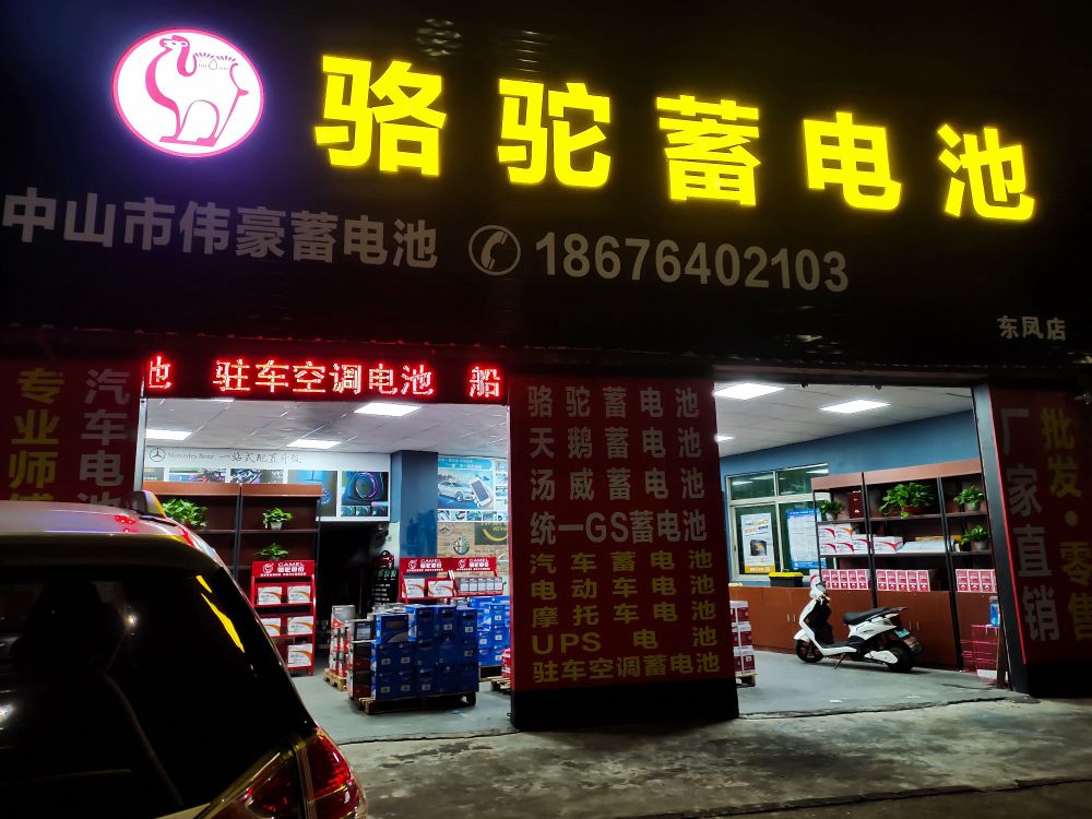 骆驼蓄电池(东凤店)