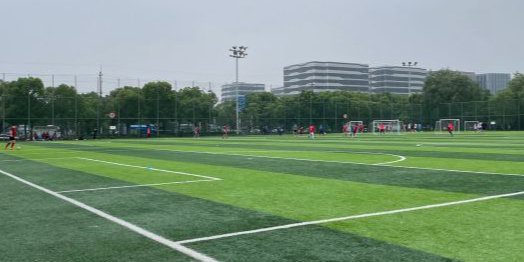 殴锴体育-闵行文化公园足球场