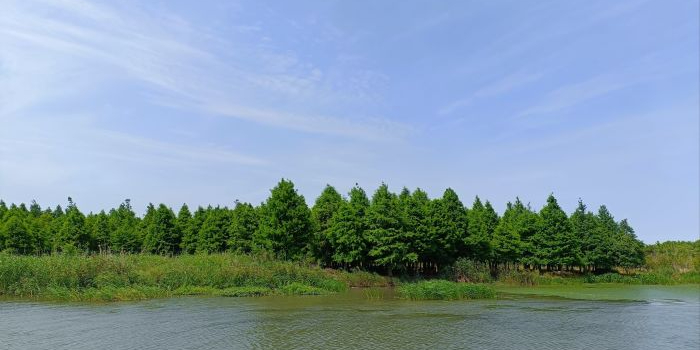 三白荡环湖生态园