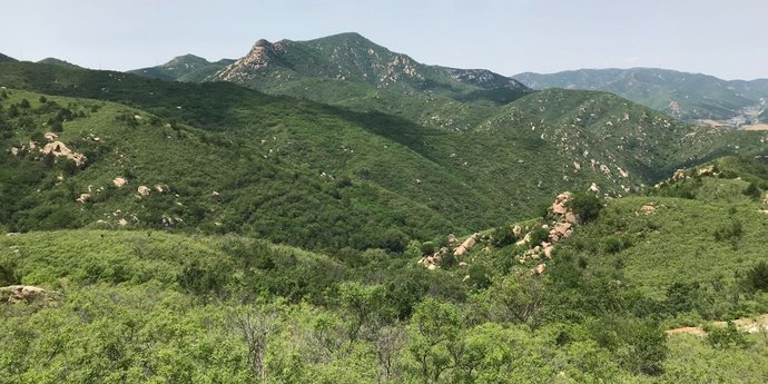 阜新市阜新蒙古族自治县大板镇大板村