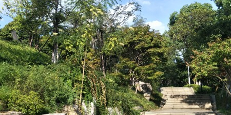 湖南省长沙市雨花区劳动东路南侧