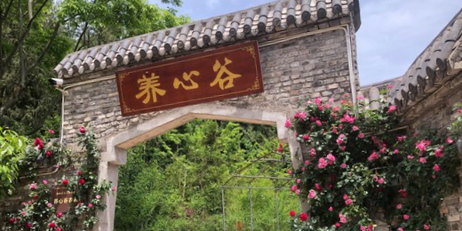 养心谷休闲农家乐