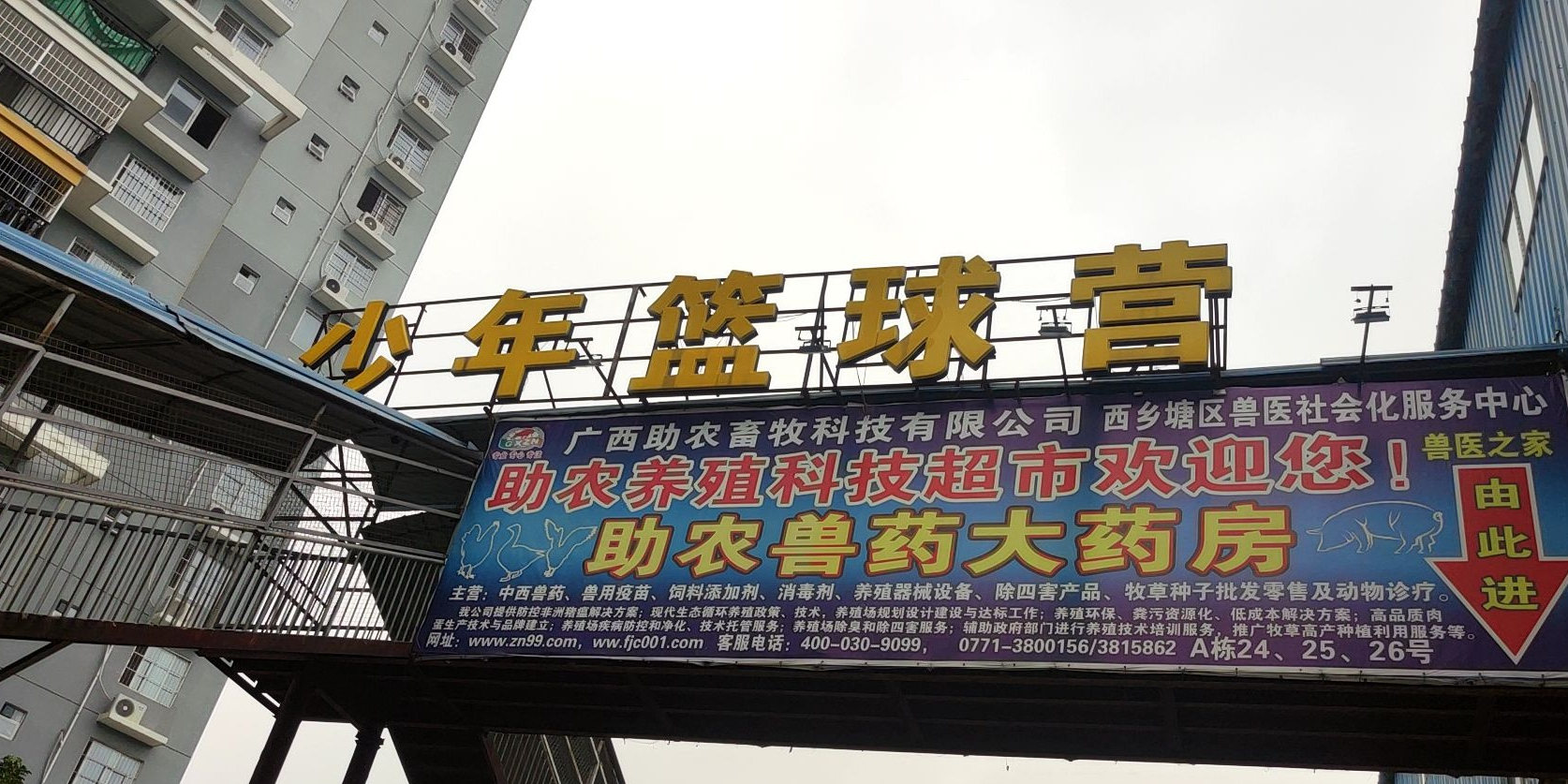 少年篮球营