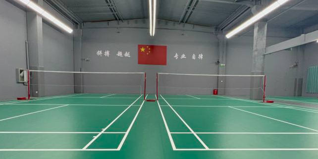星禾羽毛球馆运动中心(凤城一路店)