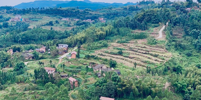 骑龙坳景区