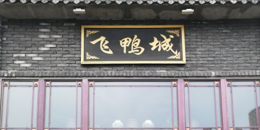飞鸭城(诚悦家园店)