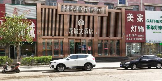 龙城大酒店(中兴东大街)