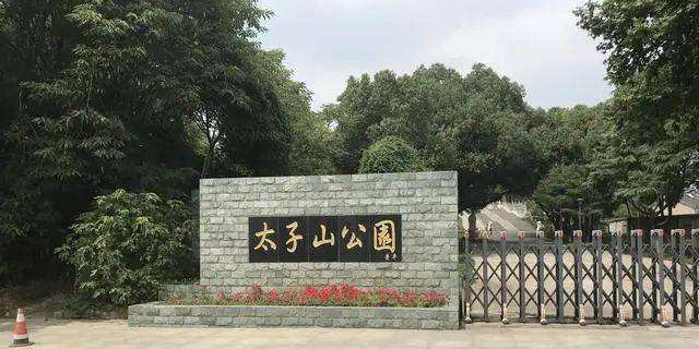 太子山公园(园东路)