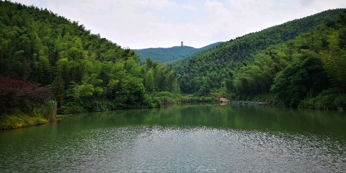 湖南省衡阳市耒阳市黄市镇株山村