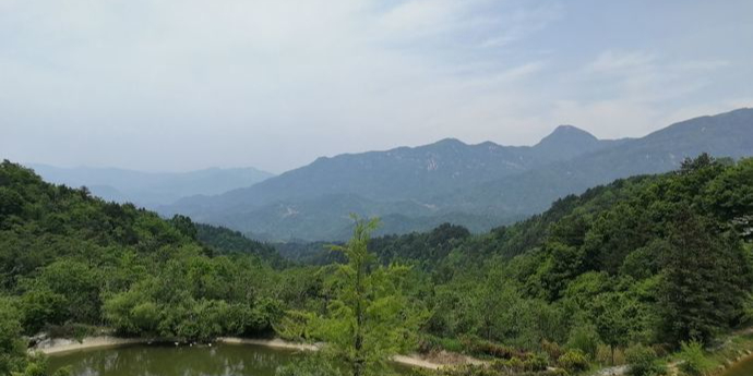 六安市霍山县太阳乡金竹坪村