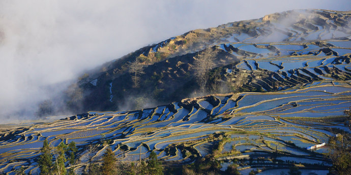 红河哈尼族彝族自治州元阳县元阳梯田景区