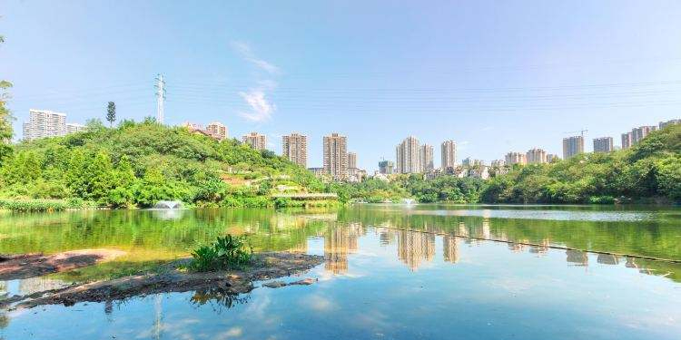 重庆彩云湖湿地公园