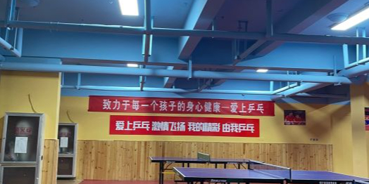 爱上乒乓俱乐部(绿地花都店)