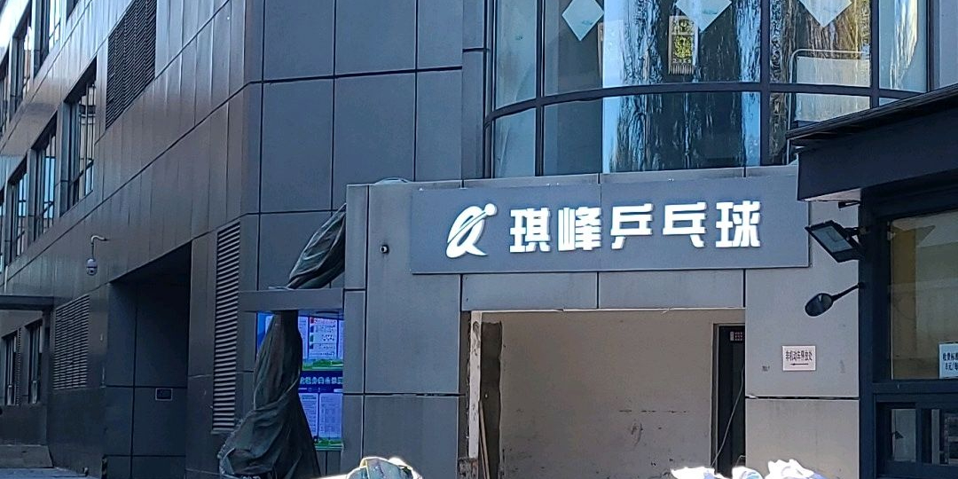 琪峰乒乓球