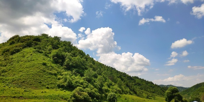 骨科草原