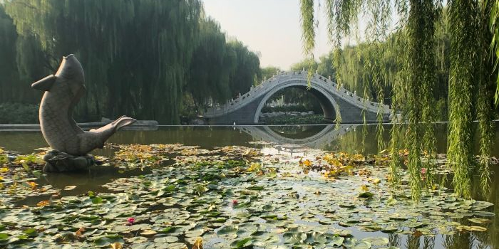 东湖公园