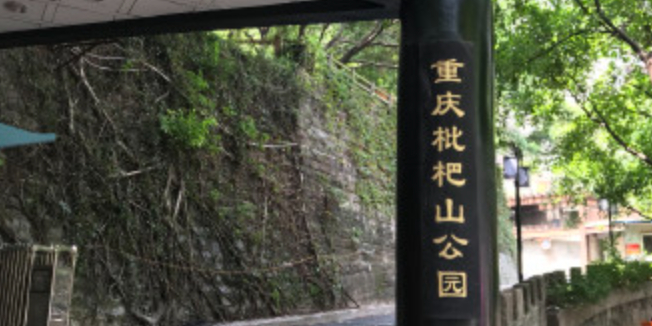 重庆枇杷山公园