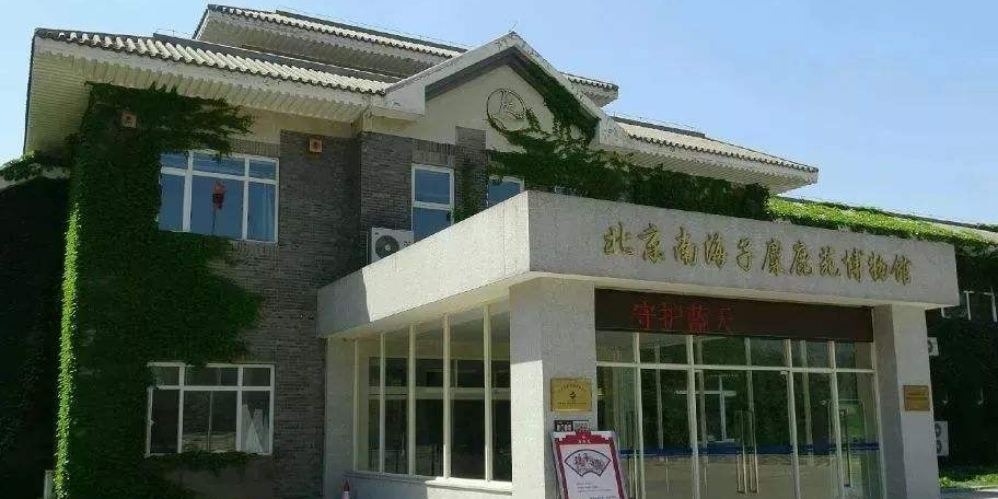 南海子麋鹿平博物馆