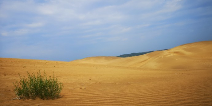 恩格贝生态旅游区