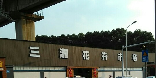 三湘花卉市场