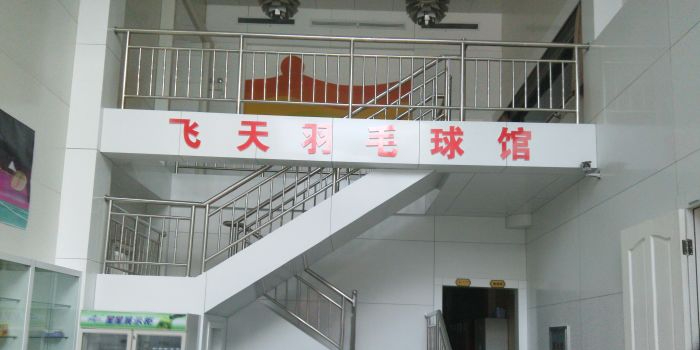 飞天羽毛球馆